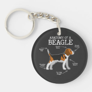 Beagle Lovers/ Anatomy Of A Beagle  Key Ring