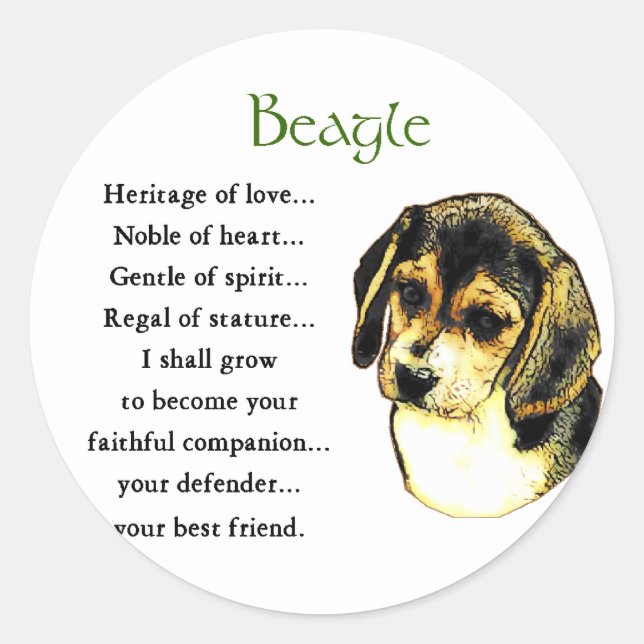 Beagle Lovers Gifts Classic Round Sticker (Front)