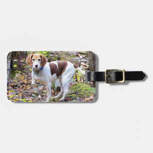 Beagle Luggage Tag