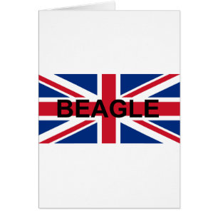 beagle name england United_Kingdom flag