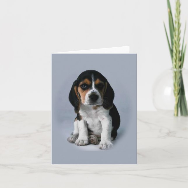 Beagle note cards (Front)