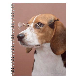 Beagle Notebook