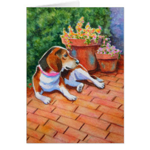 Beagle on Brick Patio