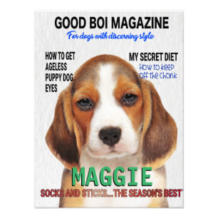 Beagle Parody Magazine Cover  Photo Print