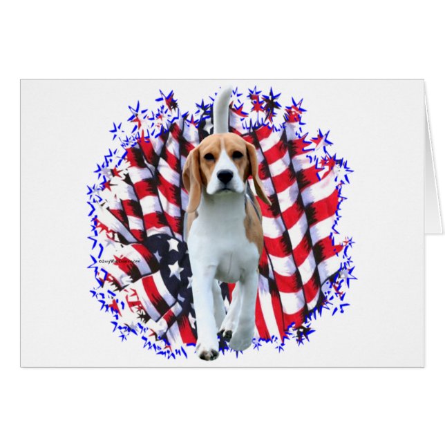 Beagle Patriot (Front Horizontal)