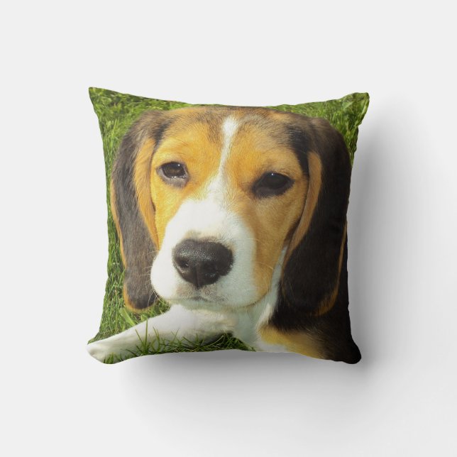 Beagle Pet Dog Design Throw Pillow Home Decor (Front)