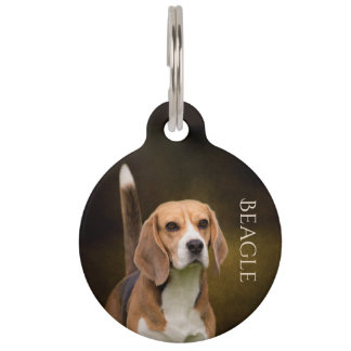 Beagle Pet Tag
