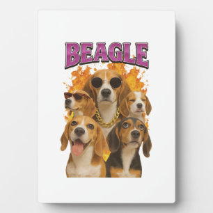 Beagle plaque