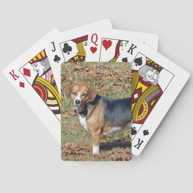 Beagle Playing Cards (Back)