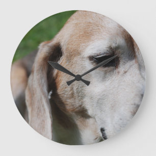 beagle portrait large clock