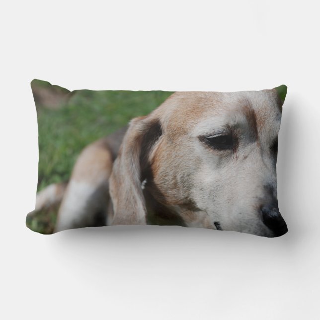 beagle portrait lumbar cushion (Front)