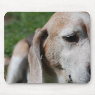 beagle portrait mouse pad