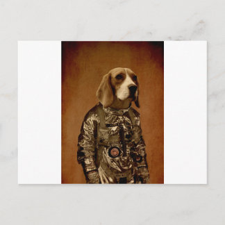 Beagle Postcard