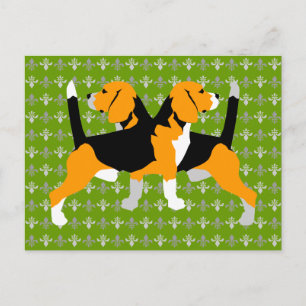 Beagle Postcard