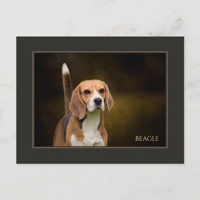 Beagle Postcard (Front)