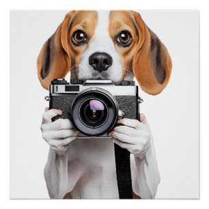 Beagle Poster