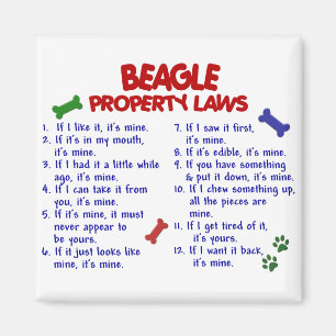 BEAGLE Property Laws 2 Magnet