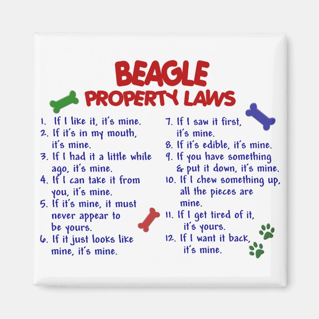 BEAGLE Property Laws 2 Magnet (Front)