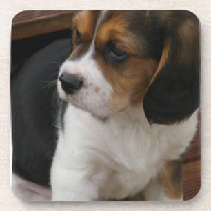 Beagle Pup Cork Coasters