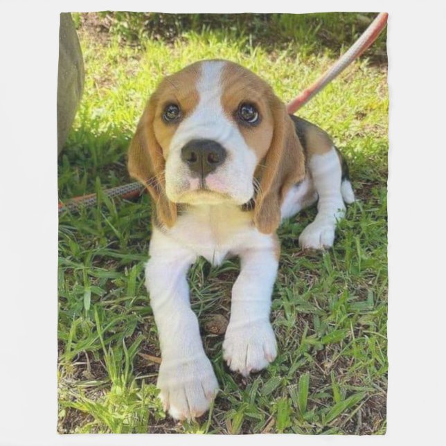 BEAGLE PUP FLEECE BLANKET (Front)