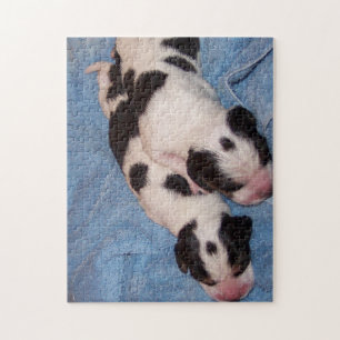 Beagle Puppies Jigsaw Puzzle
