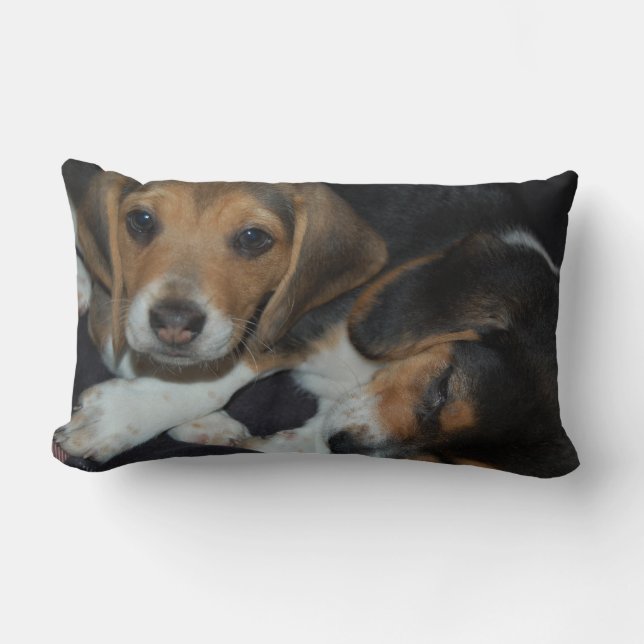 Beagle Puppies Pillow (Front)