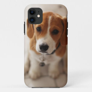 Beagle Puppy 2 iPhone 11 Case