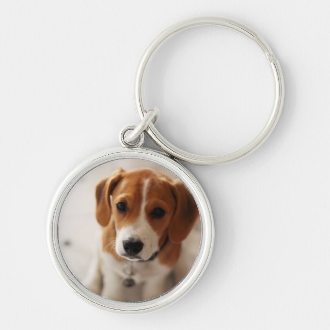 Beagle Puppy 2 Key Ring (Front)