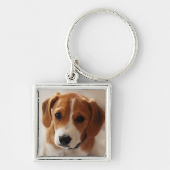 Beagle Puppy 2 Key Ring (Front)
