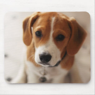 Beagle Puppy 2 Mouse Pad