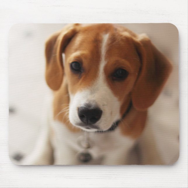 Beagle Puppy 2 Mouse Pad (Front)