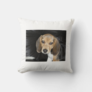beagle puppy 2.png cushion