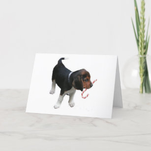 Beagle Puppy Candy Cane Christmas Card