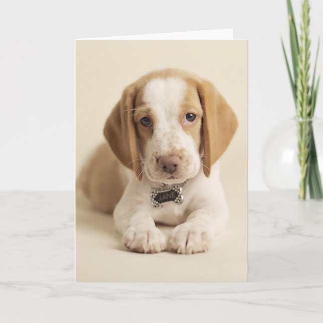 Beagle Puppy Card (Front)