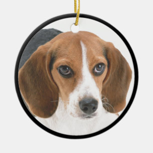 Beagle Puppy Ceramic Tree Decoration