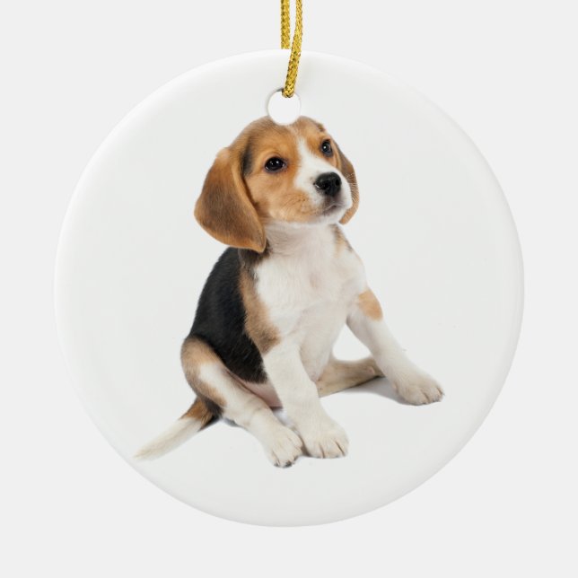 Beagle Puppy Ceramic Tree Decoration (Front)