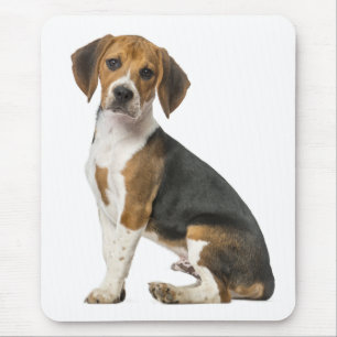 Beagle Puppy Dog - Beagles, Canine Mouse Pad