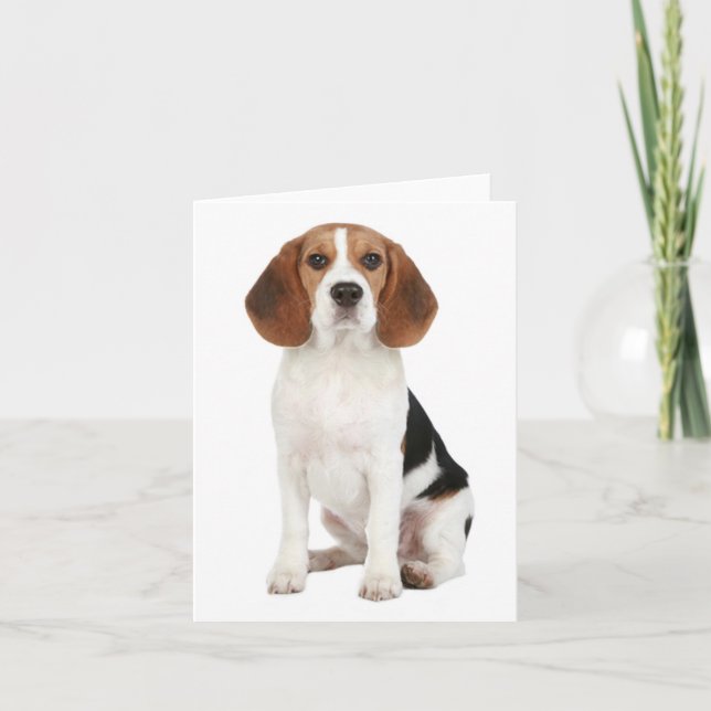 Beagle Puppy Dog Blank Note Card (Front)