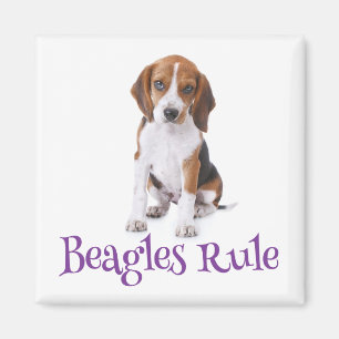 Beagle Puppy Dog Fridge Magnet