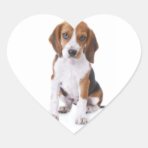 Beagle Puppy Dog Heart Greeting Stickers / Label