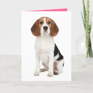 Beagle Puppy Dog Hello Thinkng of You Card