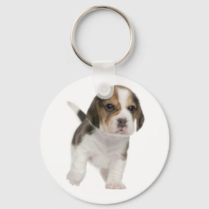 Beagle Puppy Dog Love Key Ring