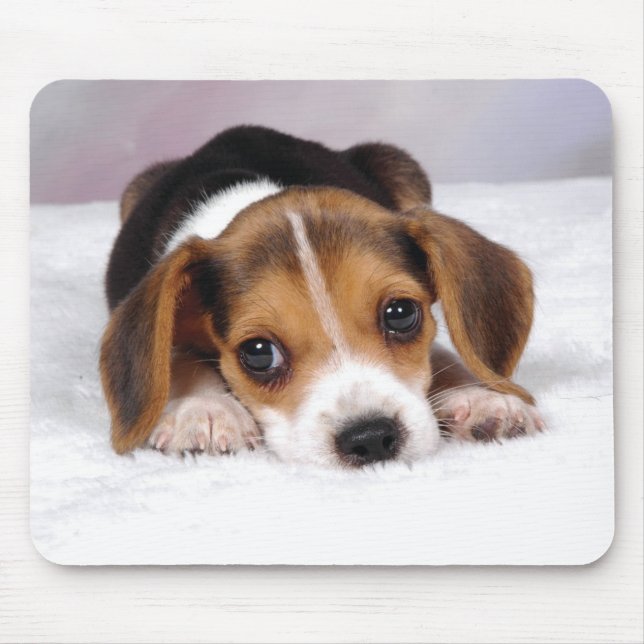 Beagle Puppy Dog Mouse Pad (Front)
