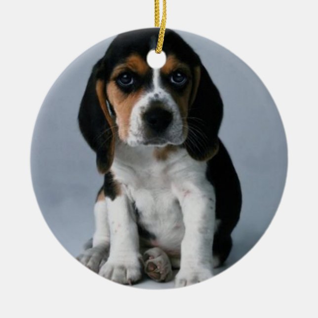 Beagle Puppy Dog Photo Ceramic Ornament (Front)