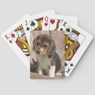 Beagle Puppy Dog Playing Cards