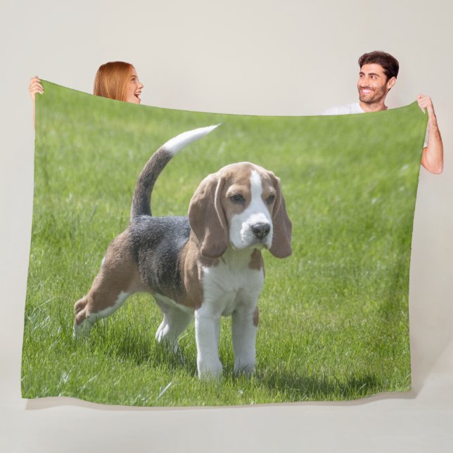 BEAGLE PUPPY FLEECE BLANKET (In Situ)