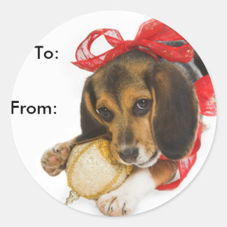 Beagle Puppy Gift Tags