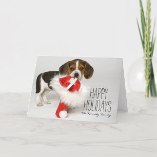 Beagle puppy holiday card