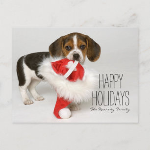 Beagle puppy holiday postcard