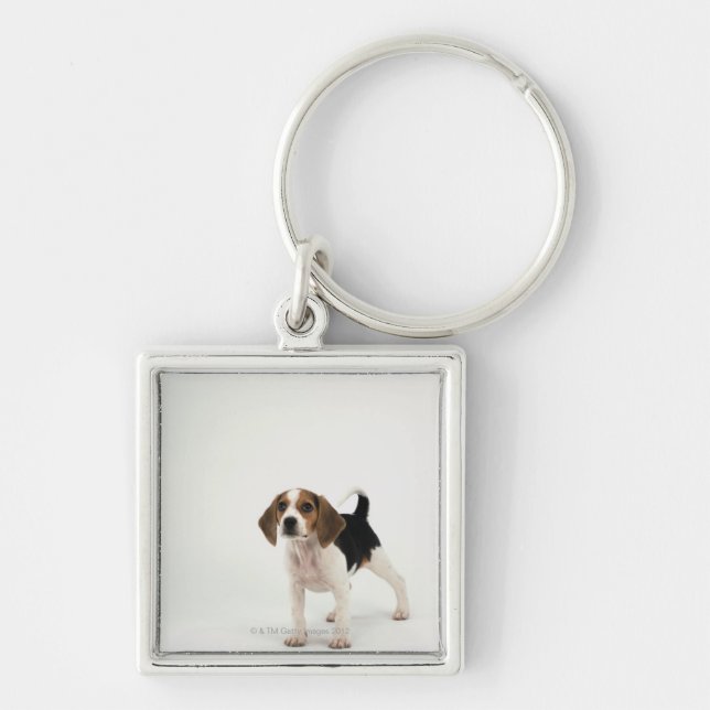 Beagle puppy key ring (Front)